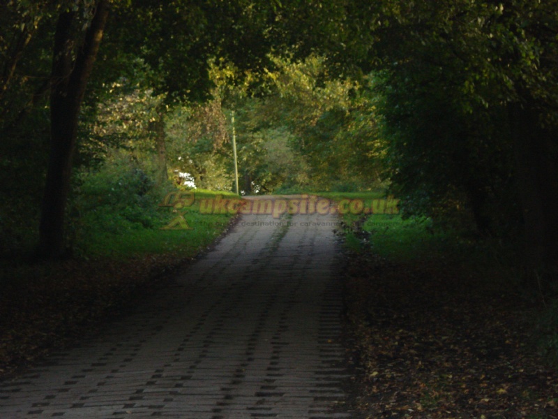 Suddene Park Farm Campsite