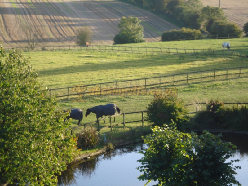 Suddene Park Farm Campsite