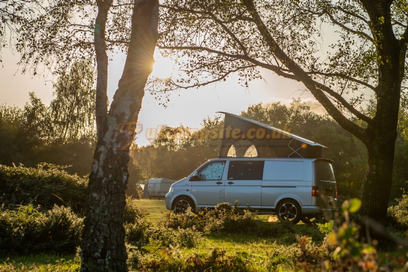 Ocknell Camping In The New Forest