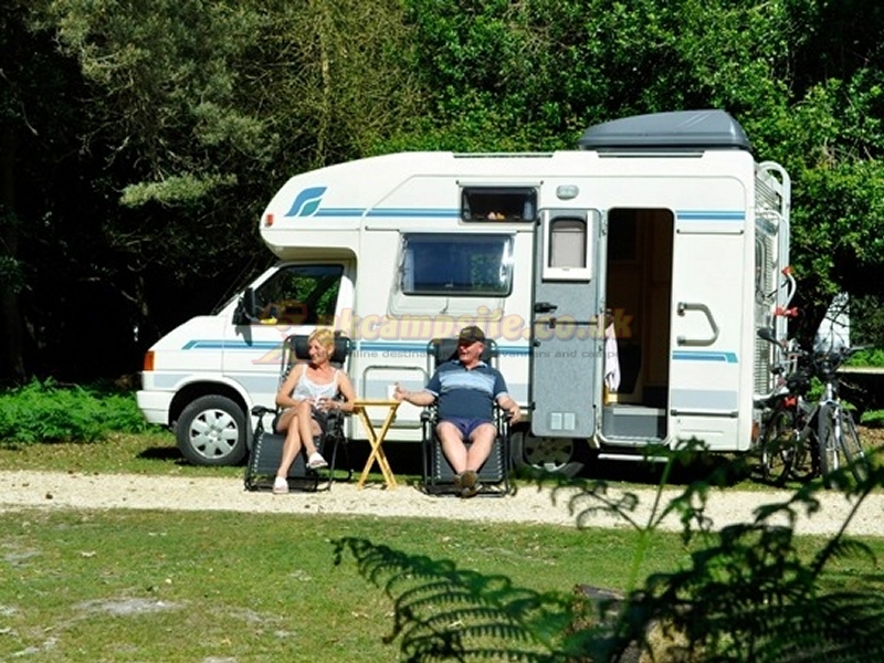 Ocknell Camping In The New Forest