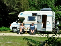 Ocknell Camping In The New Forest