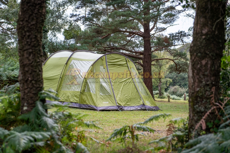 Ocknell Camping In The New Forest
