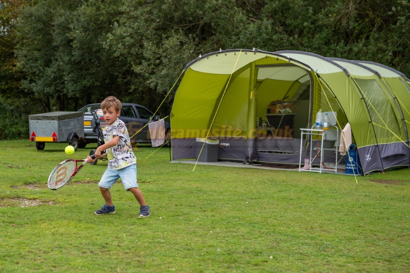 Ocknell Camping In The New Forest