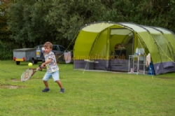 Ocknell Camping In The New Forest