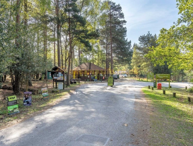 Setthorns Camping In The New Forest