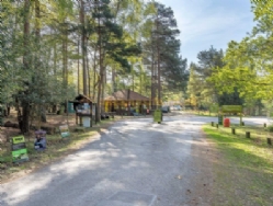 Setthorns Camping In The New Forest