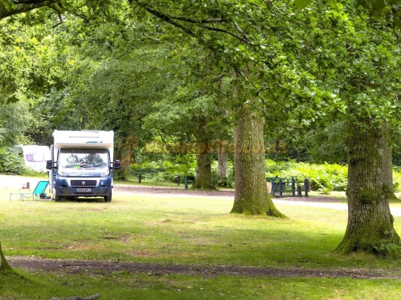 Setthorns Camping In The New Forest
