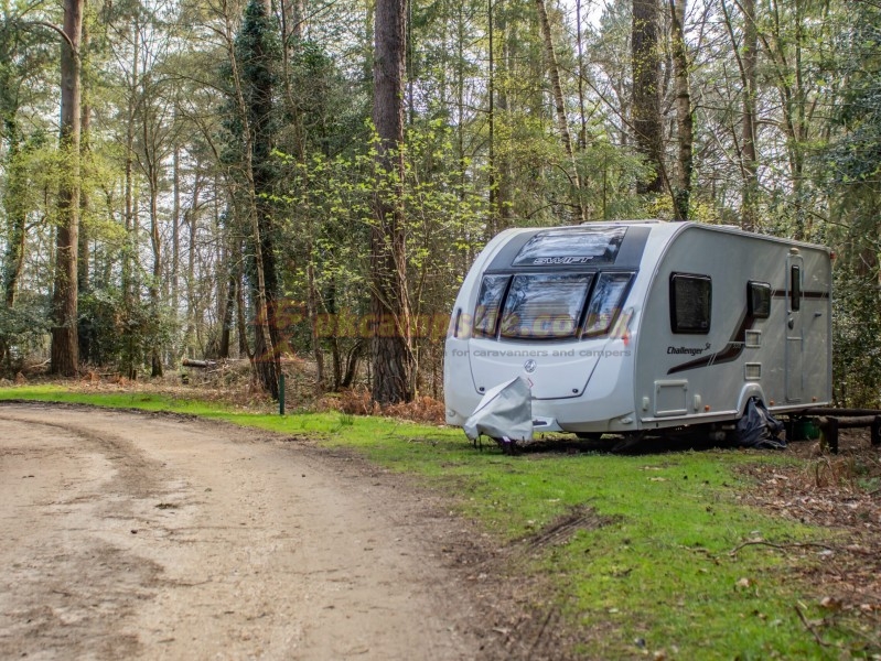 Setthorns Camping In The New Forest