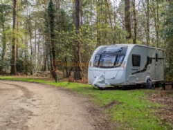 Setthorns Camping In The New Forest