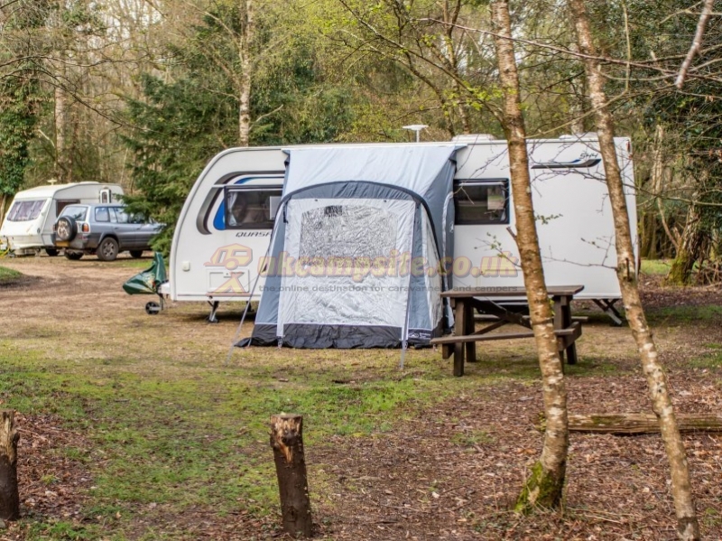 Setthorns Camping In The New Forest