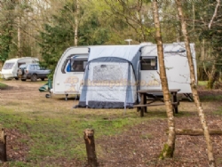 Setthorns Camping In The New Forest