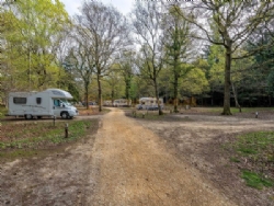 Setthorns Camping In The New Forest