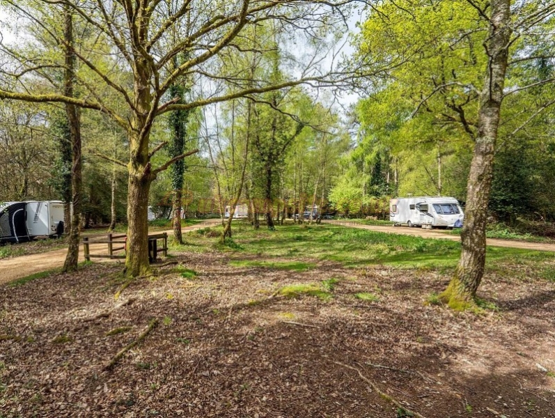 Setthorns Camping In The New Forest