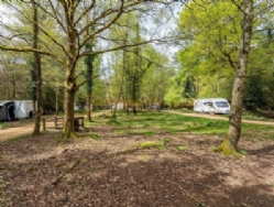 Setthorns Camping In The New Forest