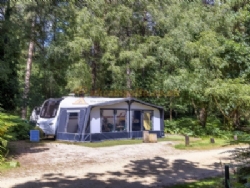 Setthorns Camping In The New Forest