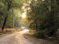 Setthorns Camping In The New Forest