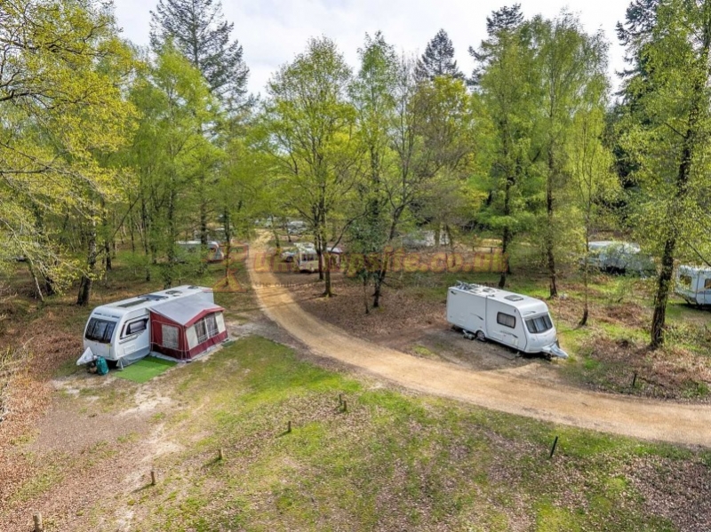 Setthorns Camping In The New Forest