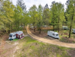 Setthorns Camping In The New Forest