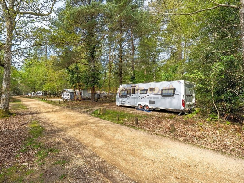 Setthorns Camping In The New Forest