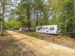 Setthorns Camping In The New Forest