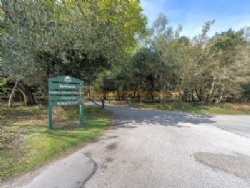 Setthorns Camping In The New Forest