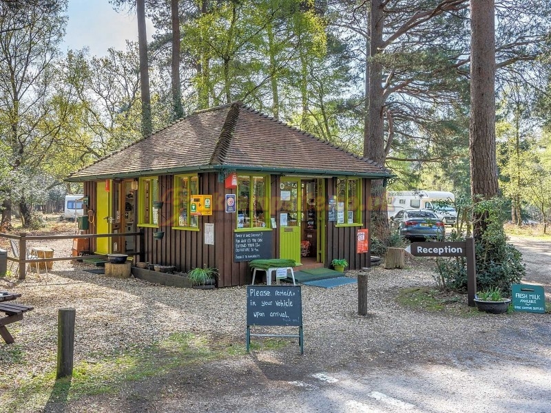 Setthorns Camping In The New Forest