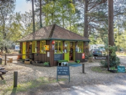 Setthorns Camping In The New Forest