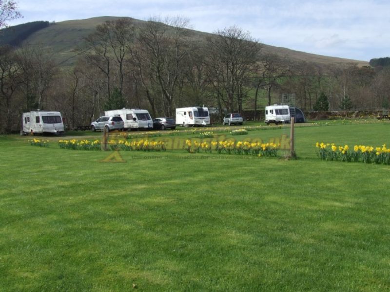 Drummond Fish Farm Touring Caravan Park