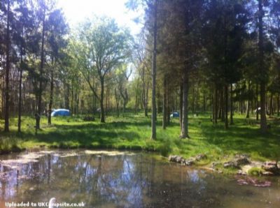 Greenfields Forest Camping