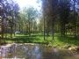 Greenfields Forest Camping Greenfields Forest Camping