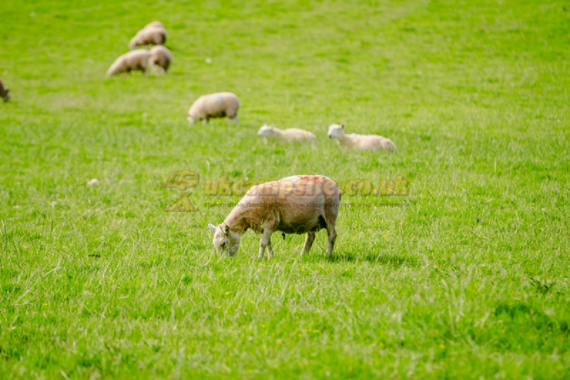 Hay On Wye Caravan Park