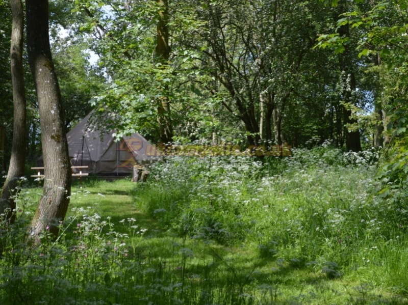 Swattesfield Campsite