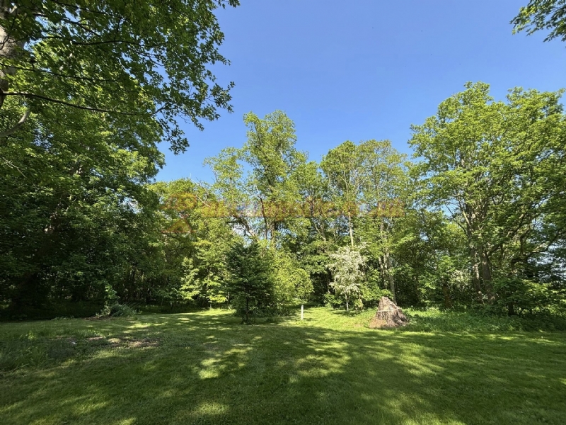 Swattesfield Campsite