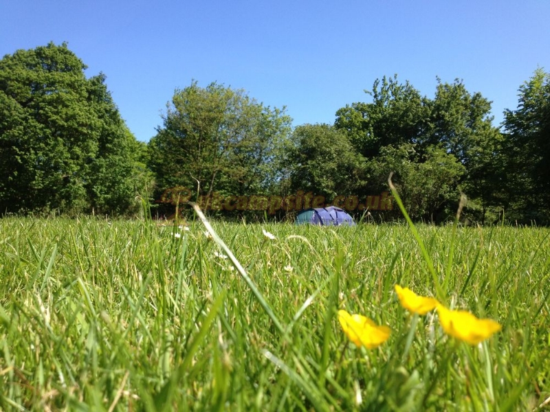 Swattesfield Campsite