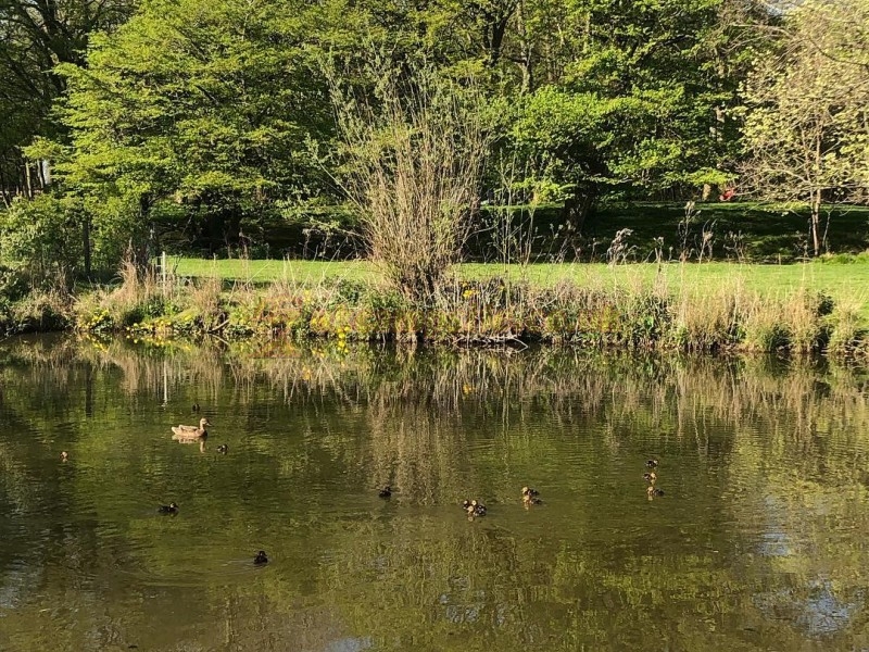Swattesfield Campsite