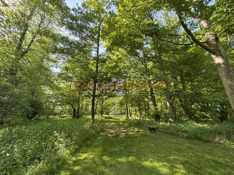 Swattesfield Campsite