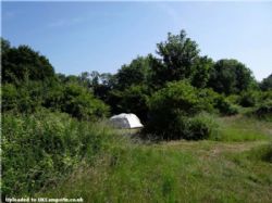 The Brickyard Campsite