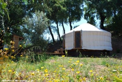 Cloud House Farm Yurt Holidays