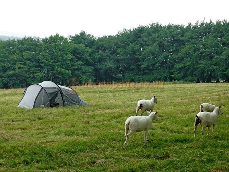 Hill Farm Campsite