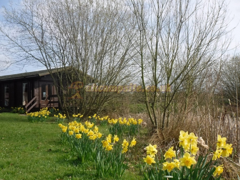 Hill Farm Campsite