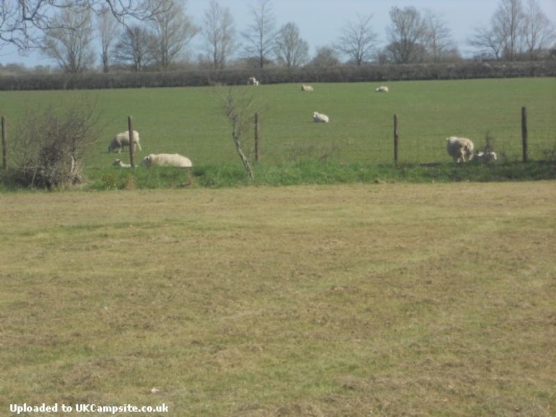 Cuckoos Rest Caravaning And Camping Park