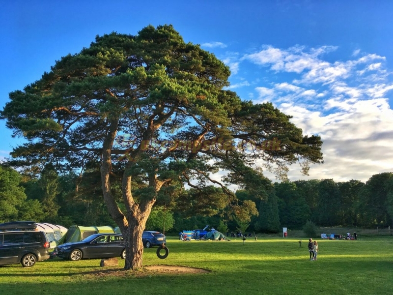 Ymca Fairthorne Manor Campsite