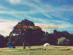 Ymca Fairthorne Manor Campsite