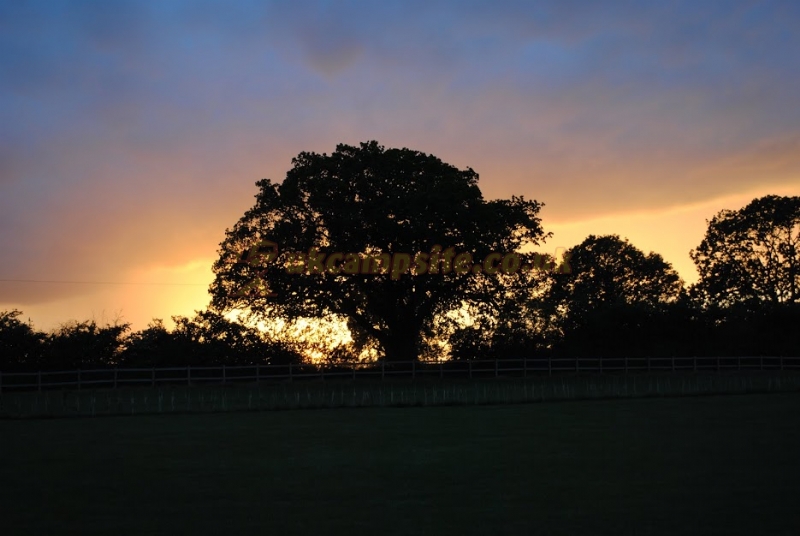 Baconsthorpe Meadows Campsite