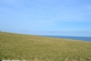 Halletts At Portland Bill Camping