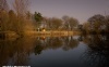 Stansfield Hall Lake And Woodlands Camping