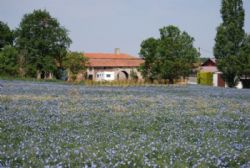 Camping And Caravan Storage La Baudonniere