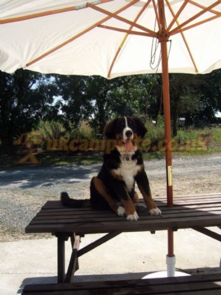 Camping And Caravan Storage La Baudonniere