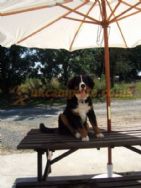 Camping And Caravan Storage La Baudonniere