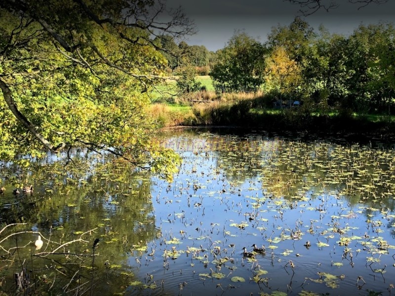 Moss House Farm Campsite